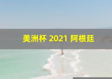 美洲杯 2021 阿根廷